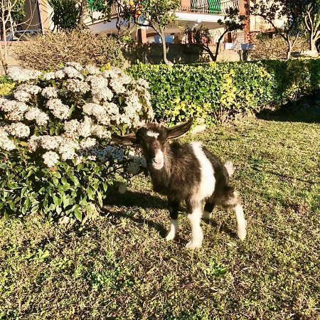 B&B Annetta Ercolano Dış mekan fotoğraf